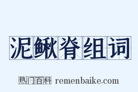 泥鳅脊组词是什么意思的图片